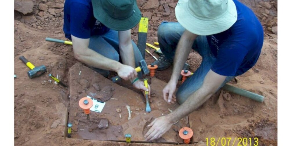 Pesquisadores apresentam dados inéditos sobre dinossauro brasileiro