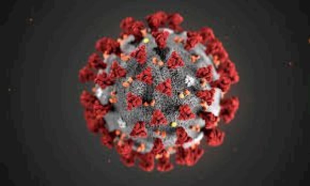 Papanduva registra quinta morte de paciente infectado com covid-19