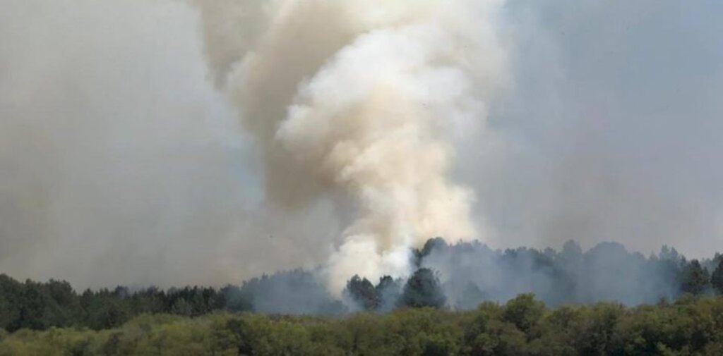 Bombeiros alertam para alto risco de queimadas no Planalto Norte