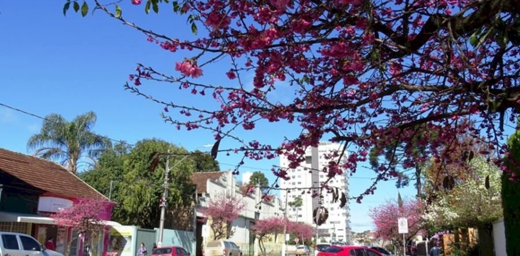 Semana de sol com temperatura elevada para época do ano em SC