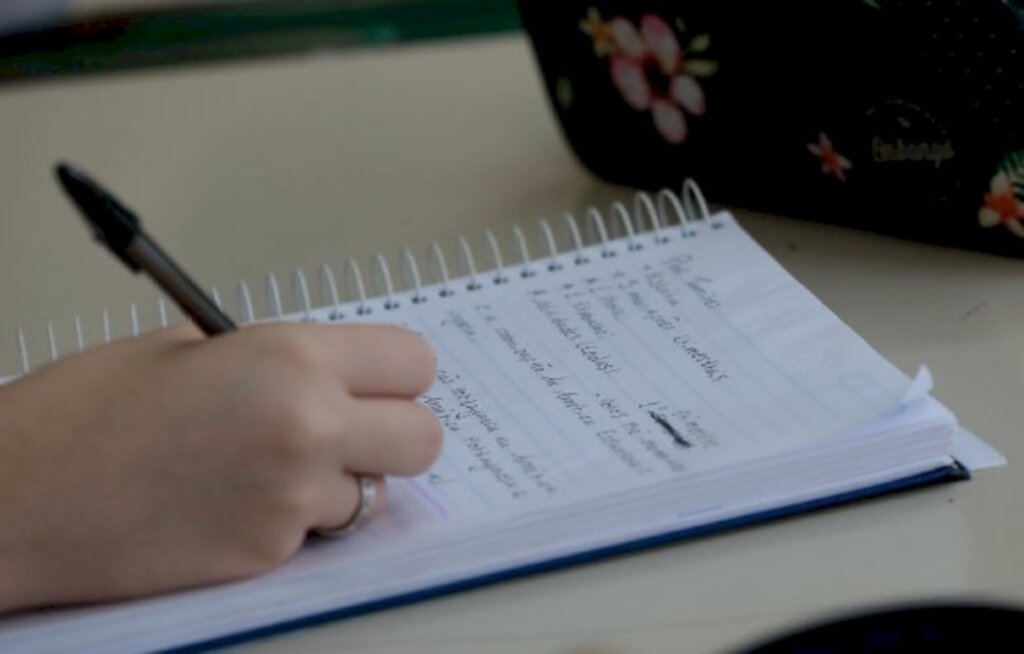 Conselho Estadual de Educação de SC recomenda aulas à distância até dezembro