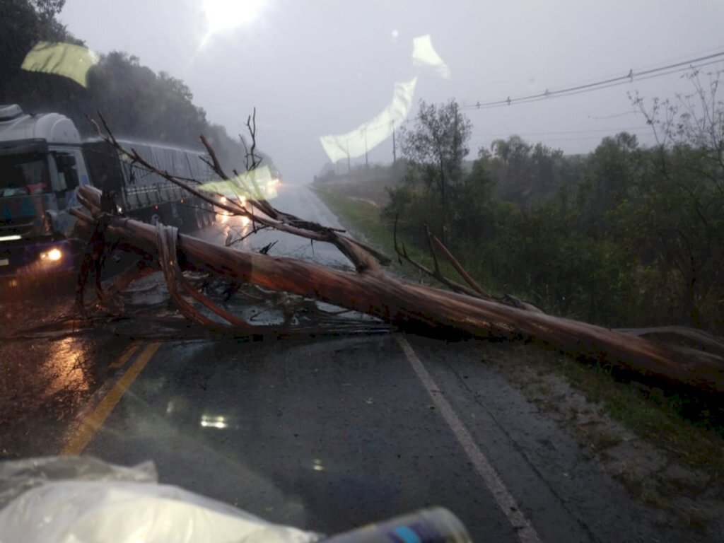 Em menos de 24h, 82 milímetros de chuva caíram em Canoinhas