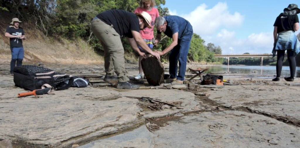 Cenpaleo da UnC identifica fósseis pré-históricos no rio Negro