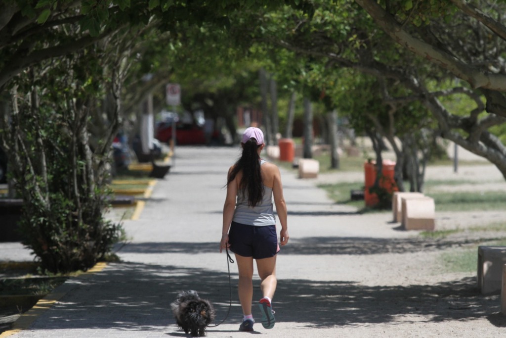 Jô Folha - Neste sábado temperaturas serão mais amenas mas calor volta com força no domingo