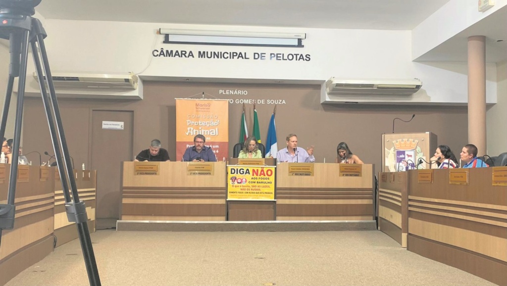Foto: Rafaela Rosa - DP - Vereadora Marisa reivindica fiscalização das leis municipais existentes