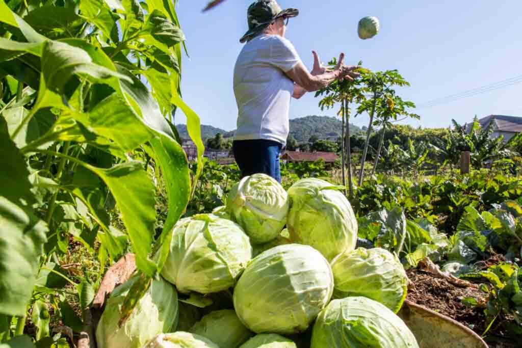 Projeto apoiado pela UE incentiva pesquisa e inovação em agroecologia