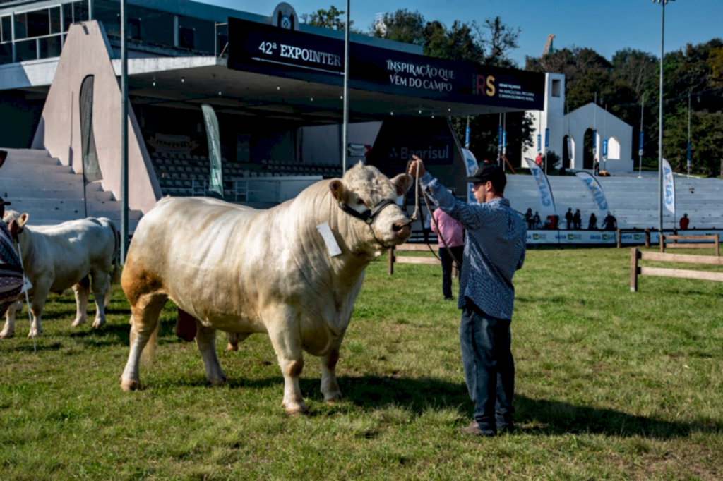 Expointer 2021 recebe 2 820 inscrições de animais de argola