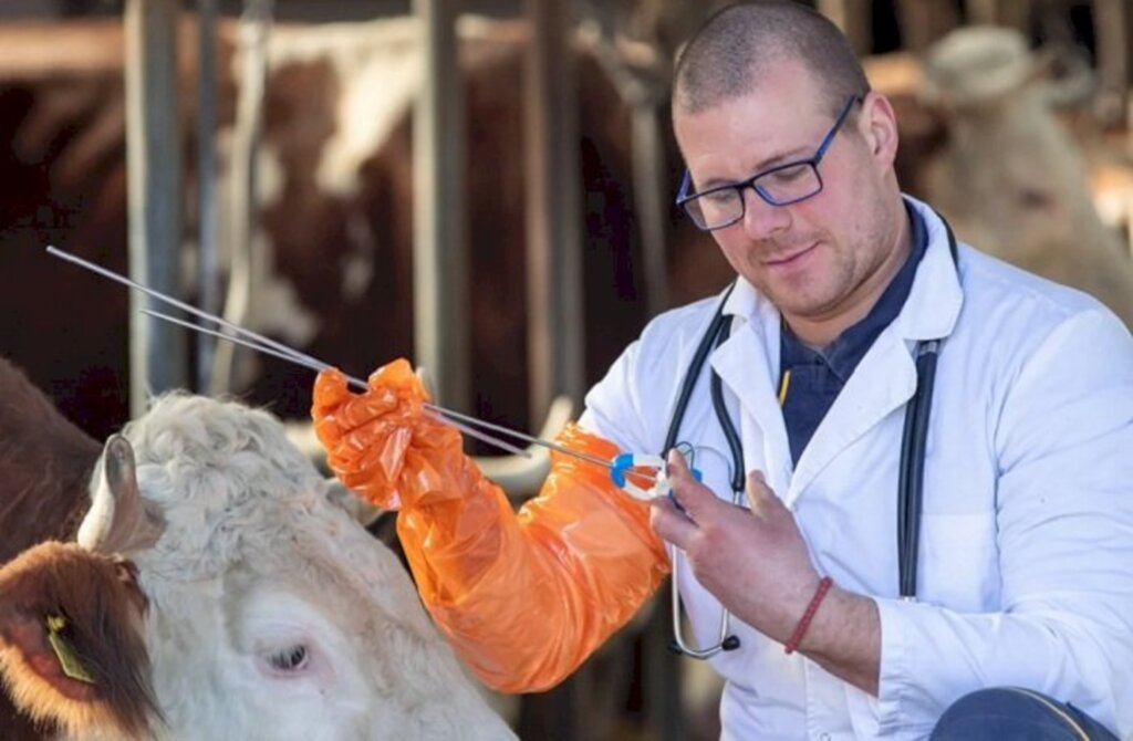 Abertas inscrições para aquisição de kit de inseminação artificial