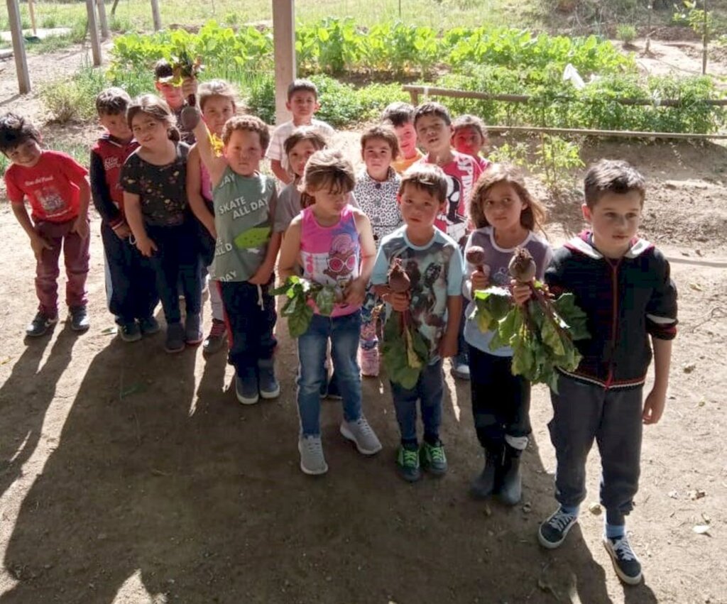 Através do projeto, alunos da Catão Peres colhem 15 quilos de beterrabas