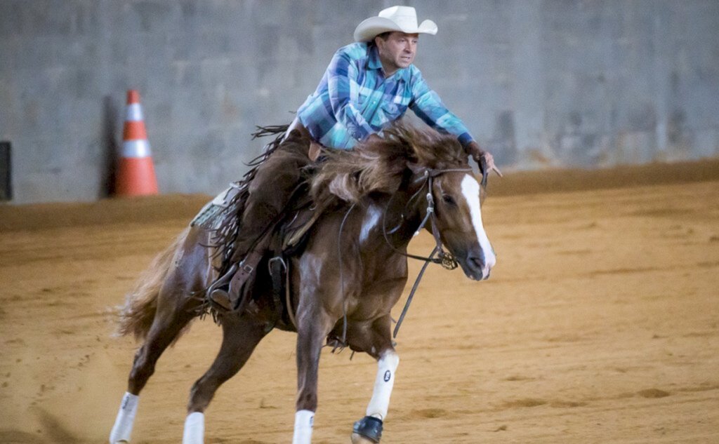 Cavalo Crioulo marca presença no Derby de Rédeas