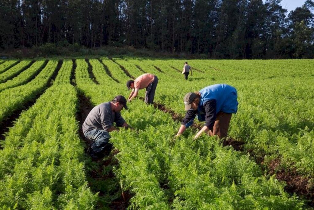 Governo gaúcho irá aportar recursos para agricultores