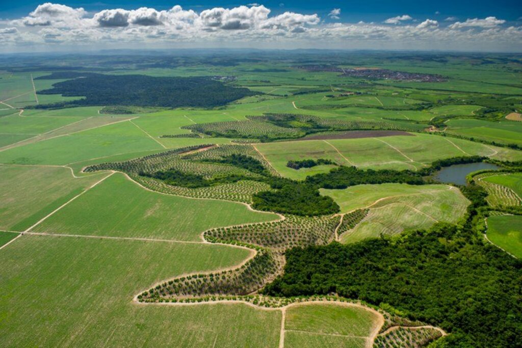 Reprodução/Mapa - Objetivo do RegularizAgro é desenvolver um plano de ação para todos os biomas