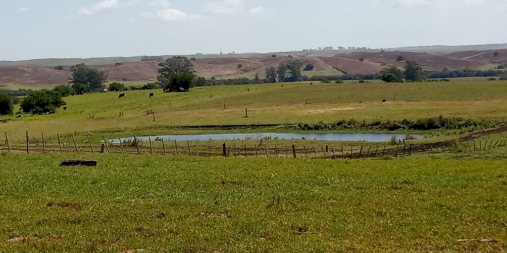 Produtores avaliam impacto da chuva nas lavouras e açudes