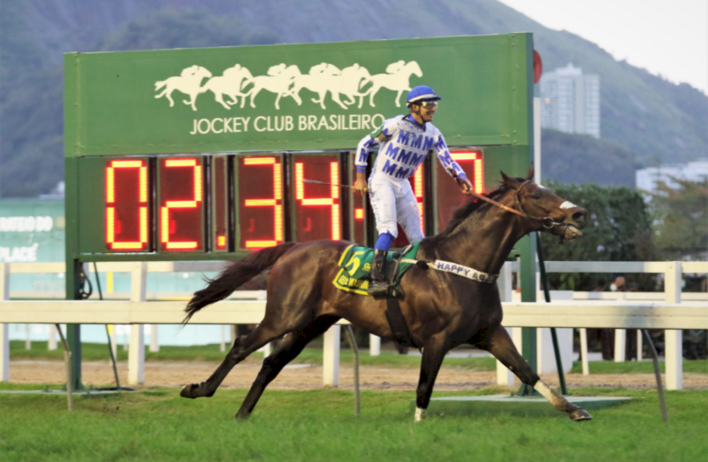 Cavalo do Haras TNT é o campeão do Grande Prêmio Brasil