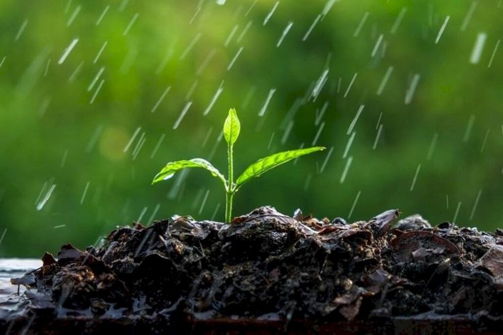 Meteorologia aponta chuva para os próximos dias