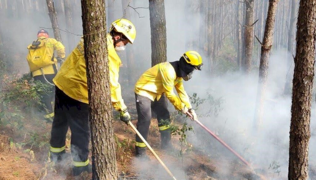 Em três dias, Bombeiros atendem 44 ocorrências de queimadas