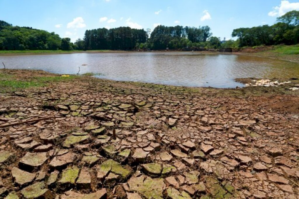 SC tem pelo menos 86 municípios em emergência devido à estiagem