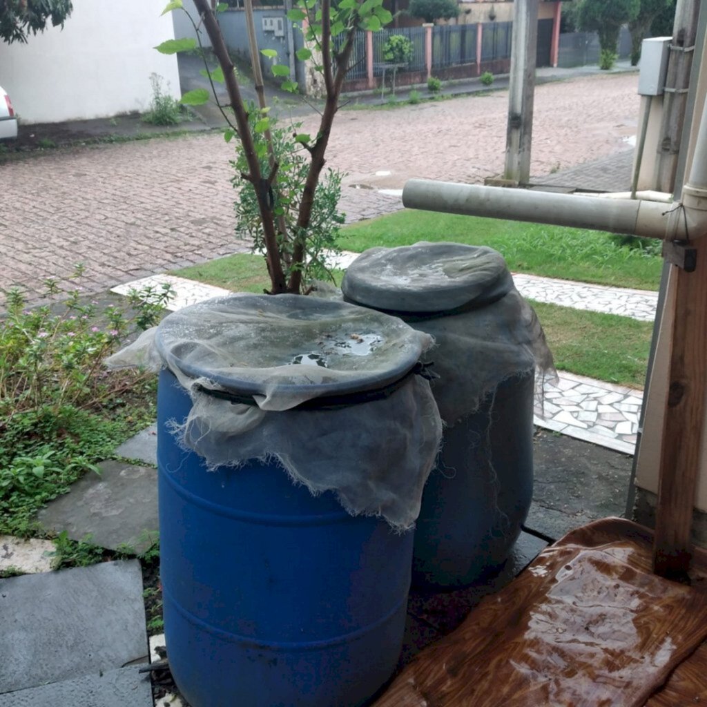 Divulgação - 