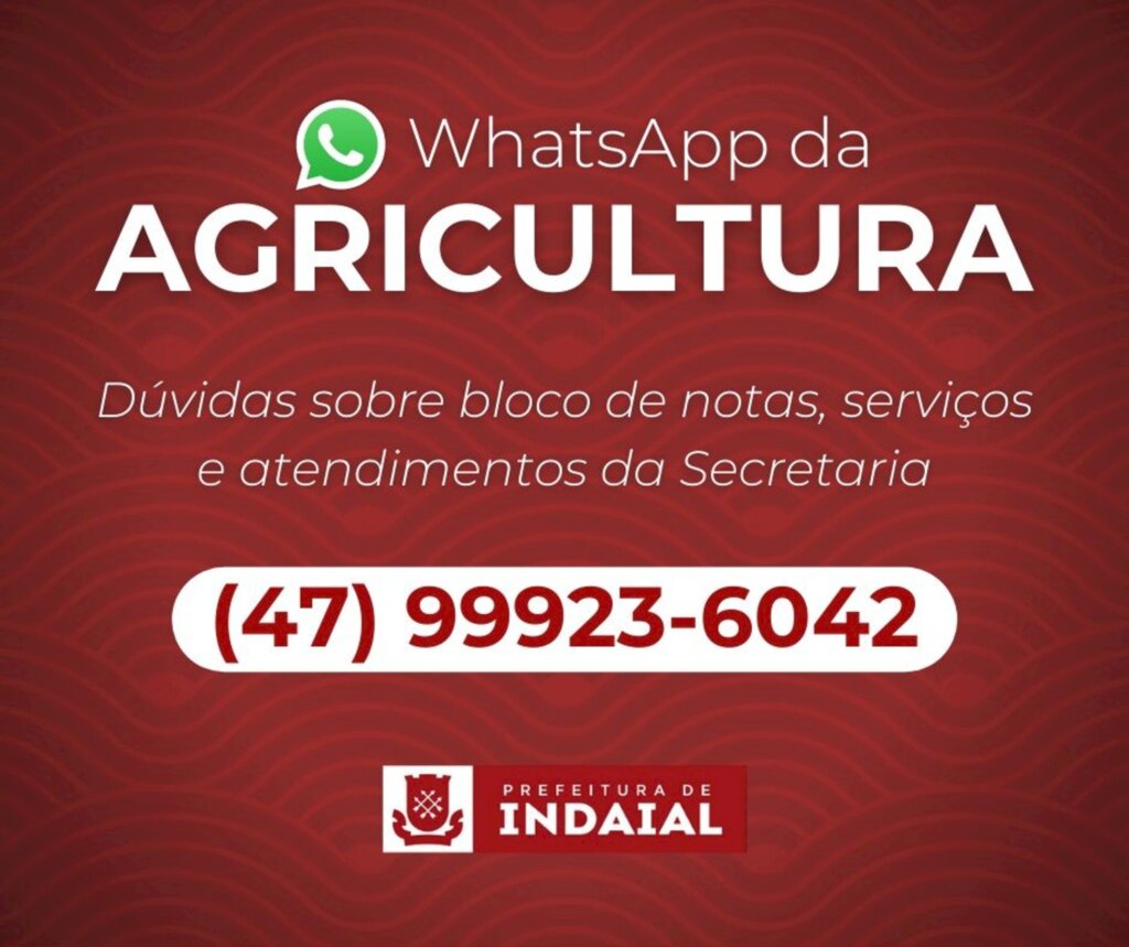 WhatsApp da Agricultura facilita acesso aos serviços da Secretaria