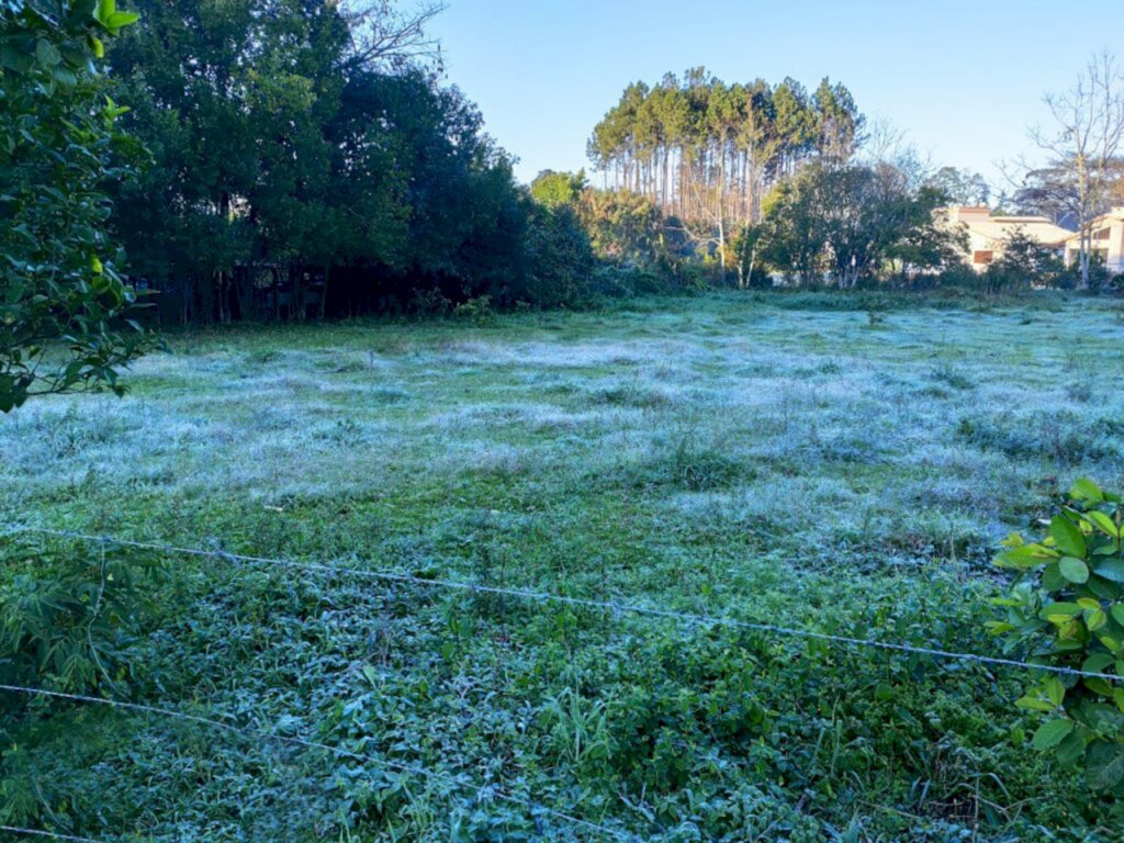  - Geada na cidade de Iporã do Oeste (Foto: Adriela Halmenschlager)