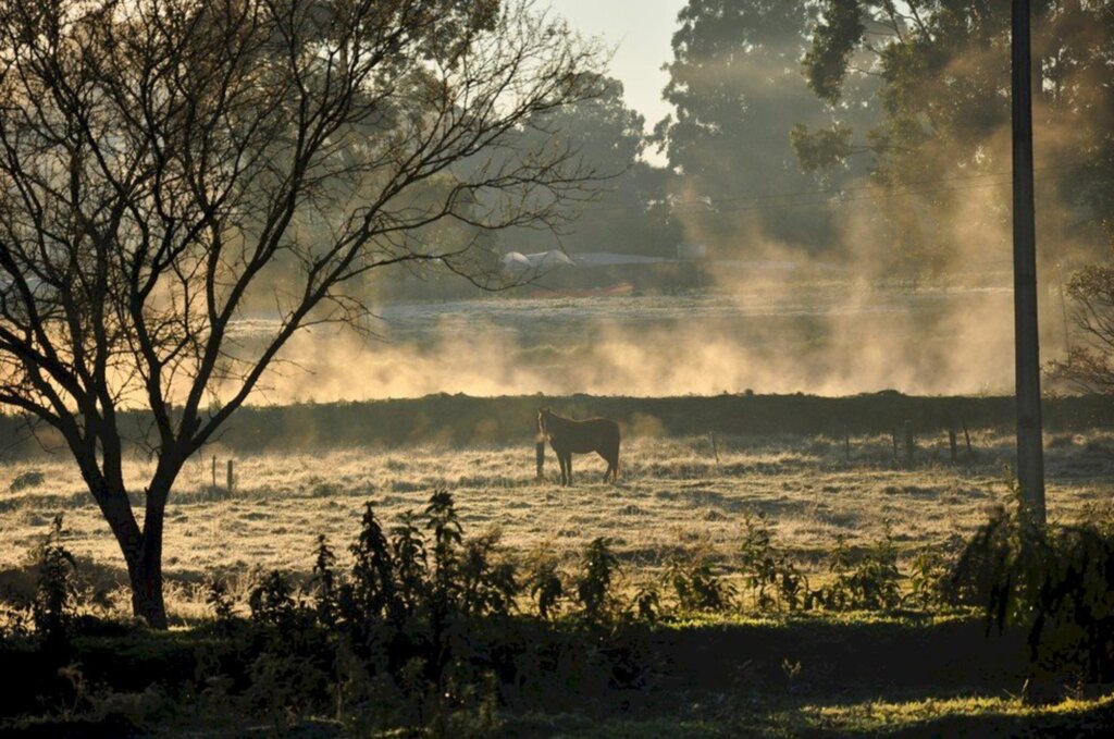 Semana começa com frio na região