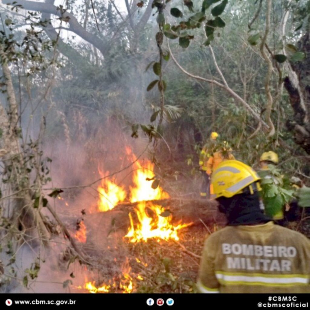 Bombeiros de Santa Catarina retornam da Operação Pantanal