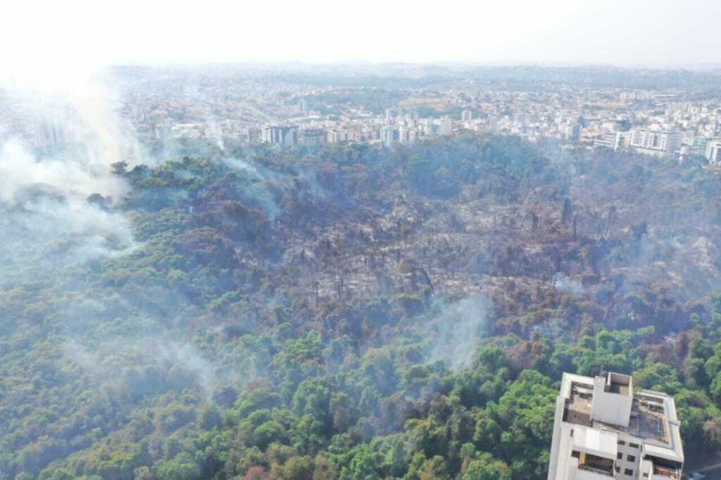 Divulgação/Corpo de Bombeiros Militar do Estado de Minas Gerais - 