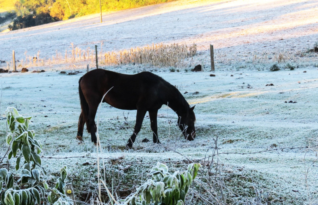 Frio perde força em Santa Catarina e temperaturas sobem no final de semana