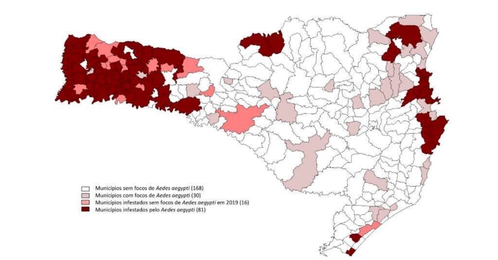Cresce o número de casos de dengue confirmados em Santa Catarina