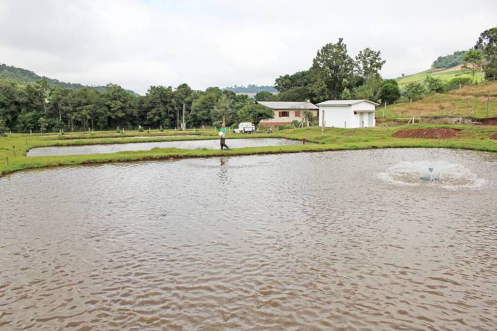 Pescados Estância Royer produz e comercializa filé de Tilápia