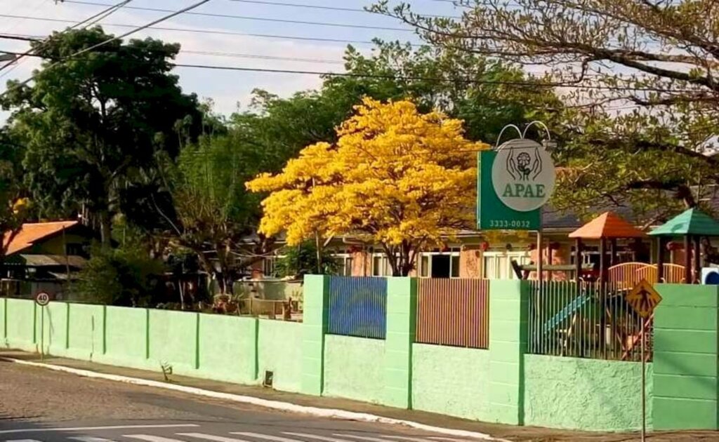 Apae Indaial completa 50 anos de atuação