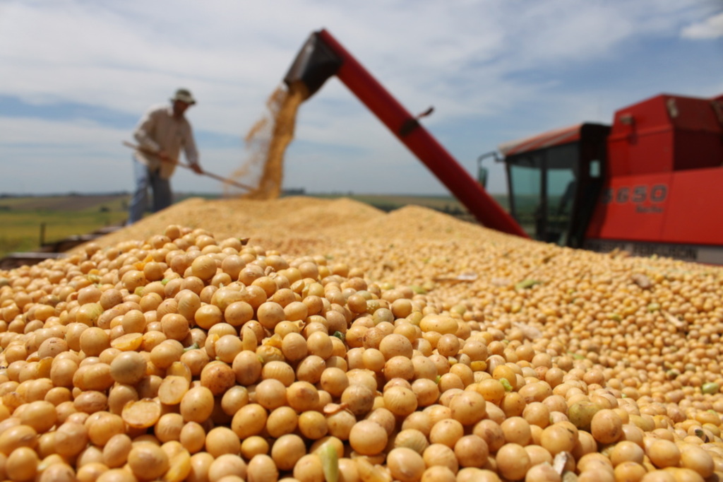 Queda no movimento agropecuário vai reduzir receita dos municípios