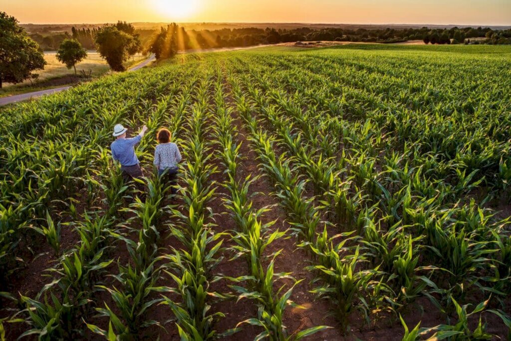 Santa Catarina lança programa de inovação voltado para o agronegócio