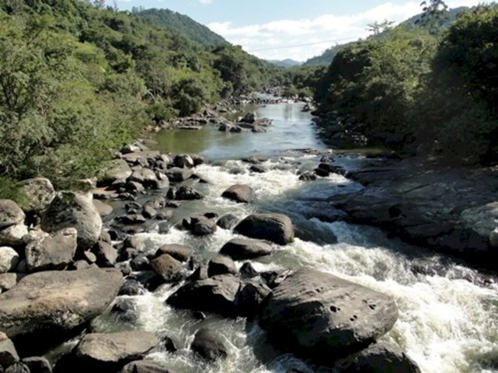 Divulgação Cimvi - 
