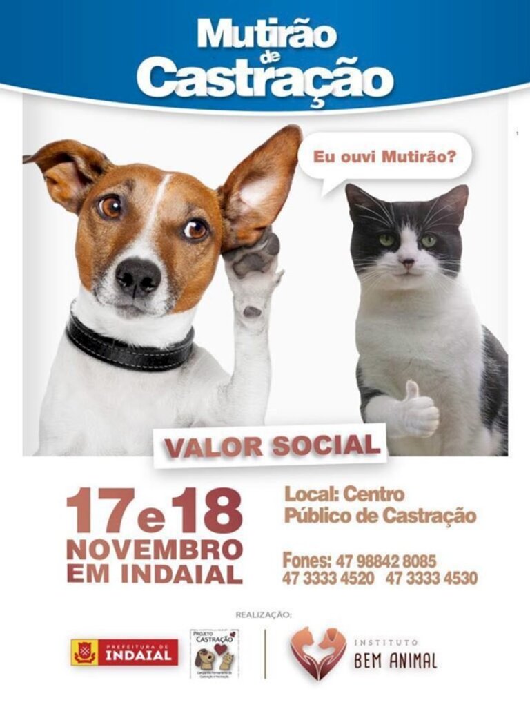 Inscrições abertas para Mutirão de Castração Animal em Indaial
