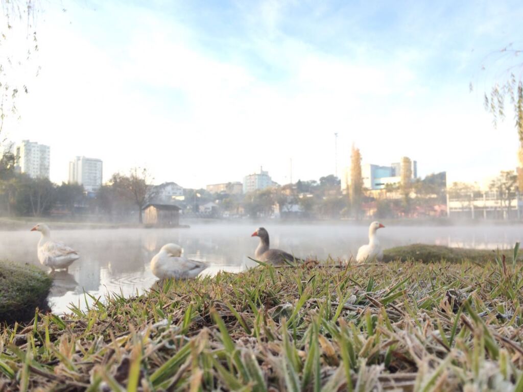 Inverno chega nesta segunda-feira com massa de ar frio e temperaturas perto de 0ºC em SC