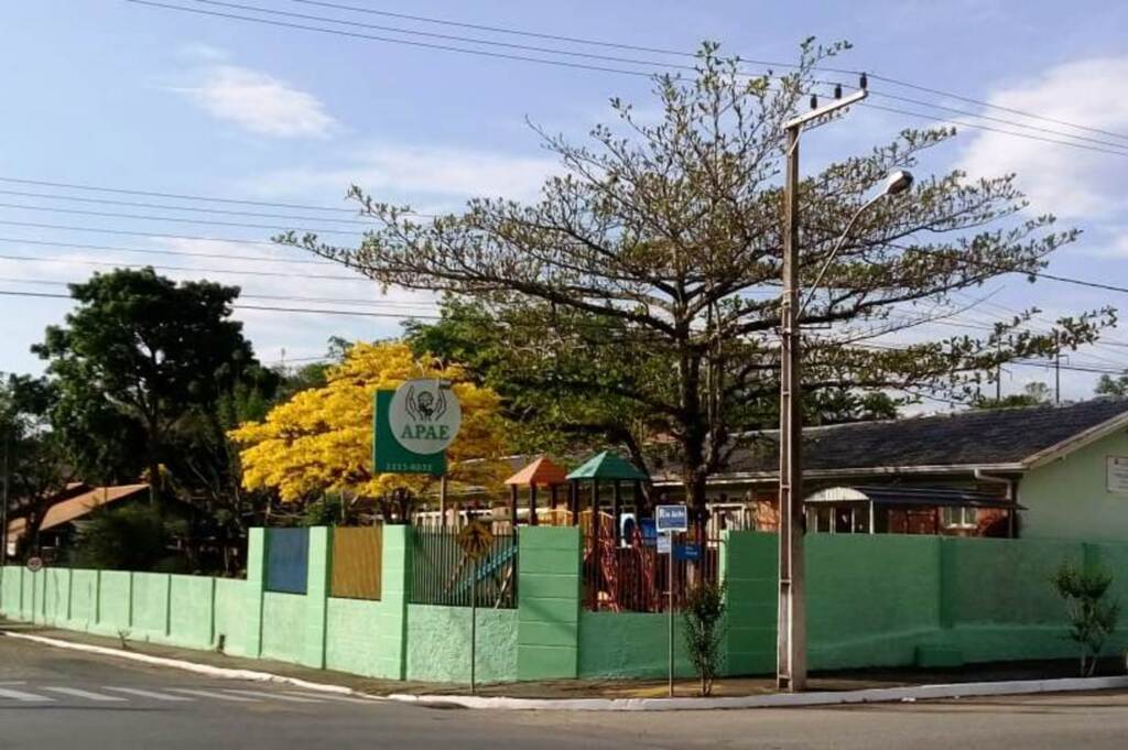 Divulgação - 