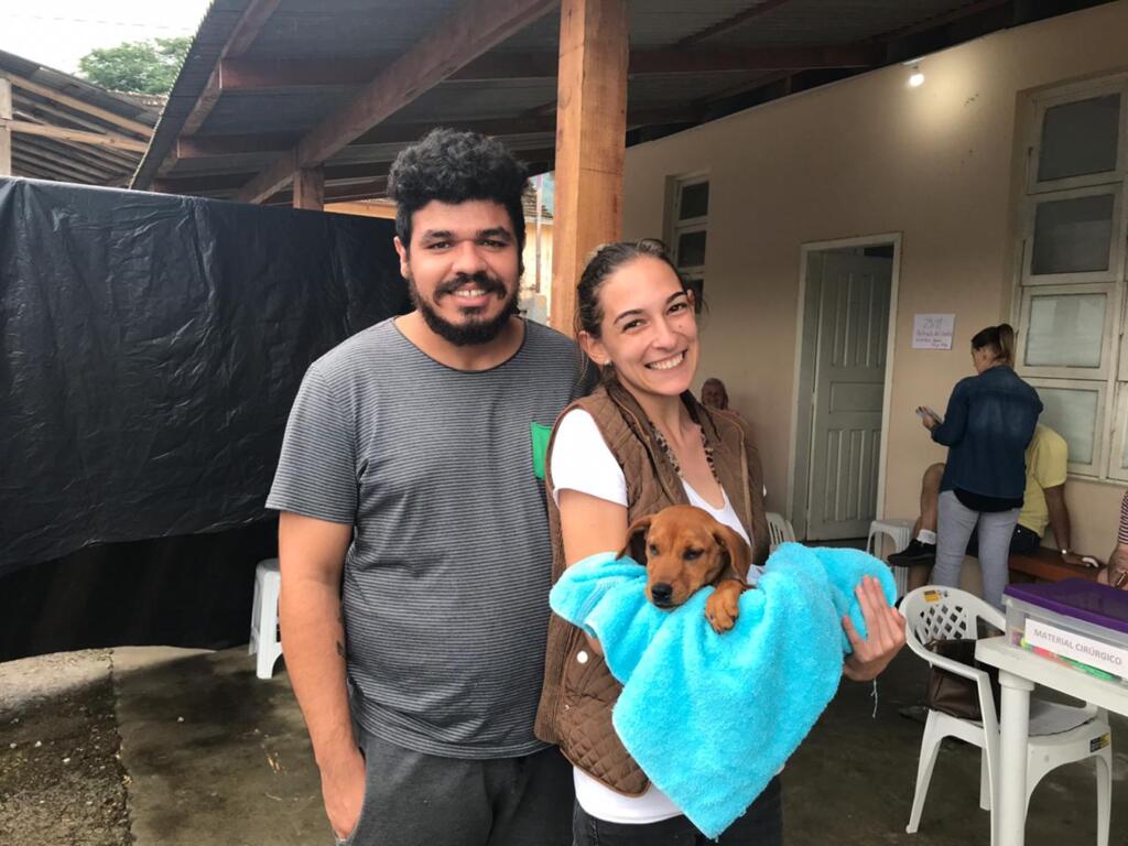 Instituto Bem Animal - 
