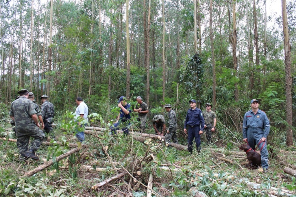 Jornal Diário do Iguaçu - Divulgação