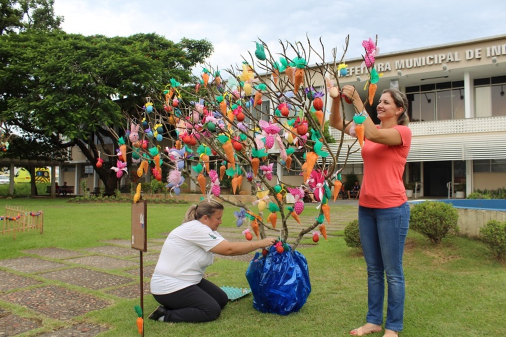 Janaina Possamai - Montagem das árvores aconteceu na quinta-feira, dia 15