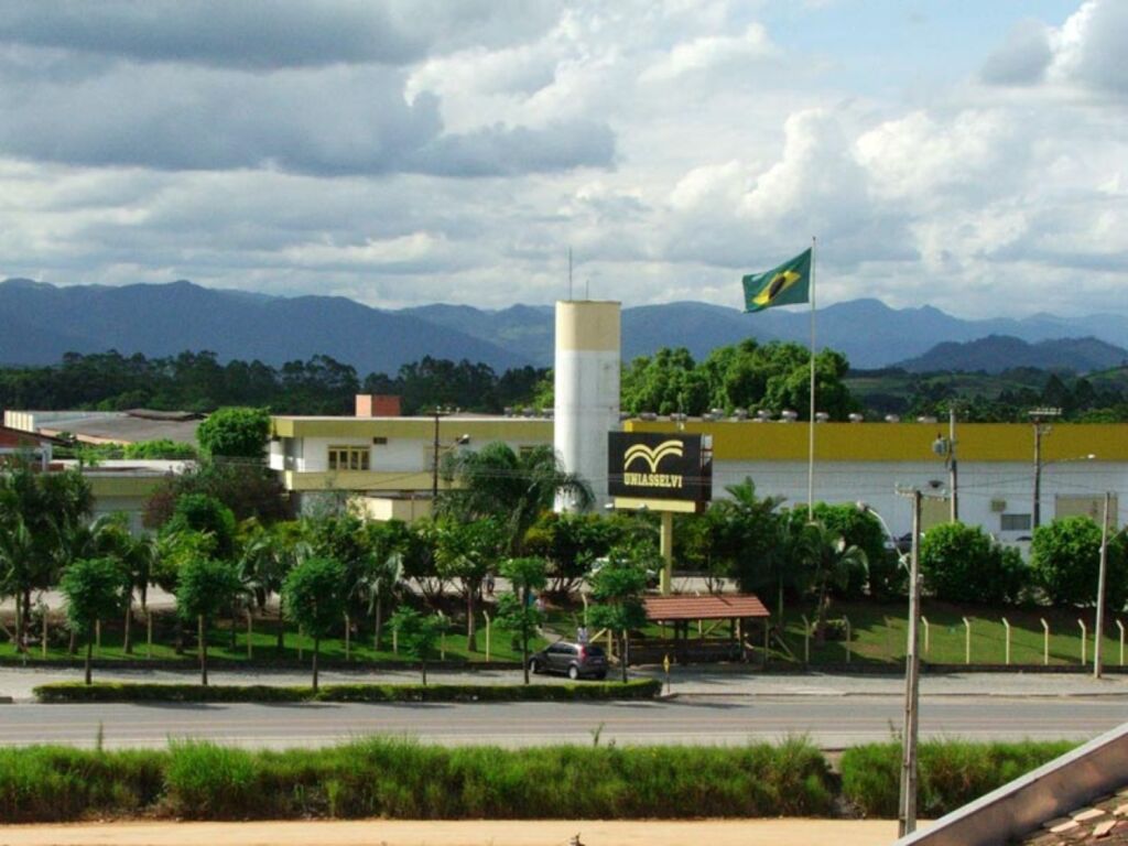 Divulgação - 