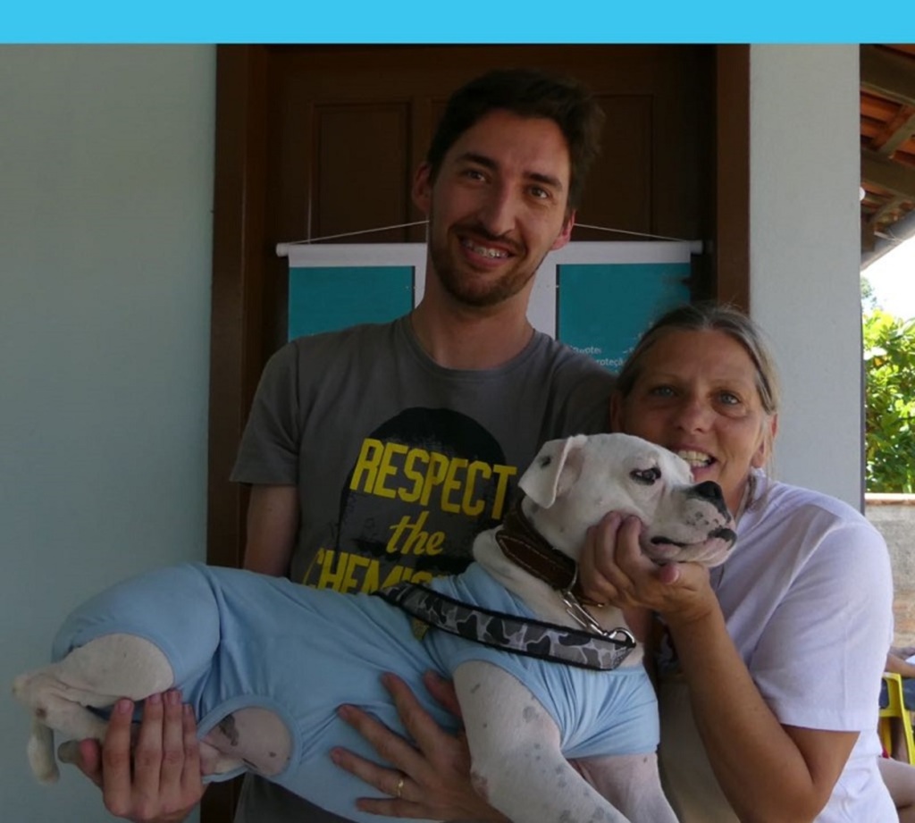 Divulgação/Instituto Bem Animal - Parceria com Instituto Bem Animal irá permitir dois mutirões nos próximos meses