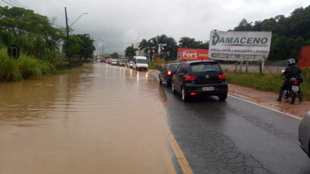 Divulgação - 