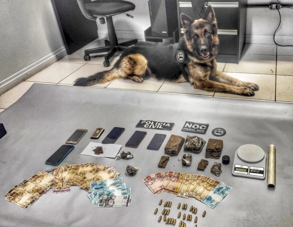 Polícia Civil - 