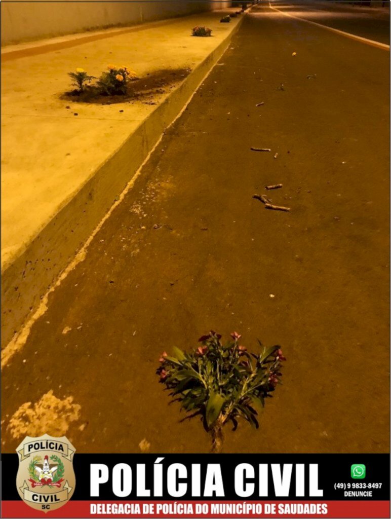Polícia Civil identifica autores de crime ambiental em Saudades