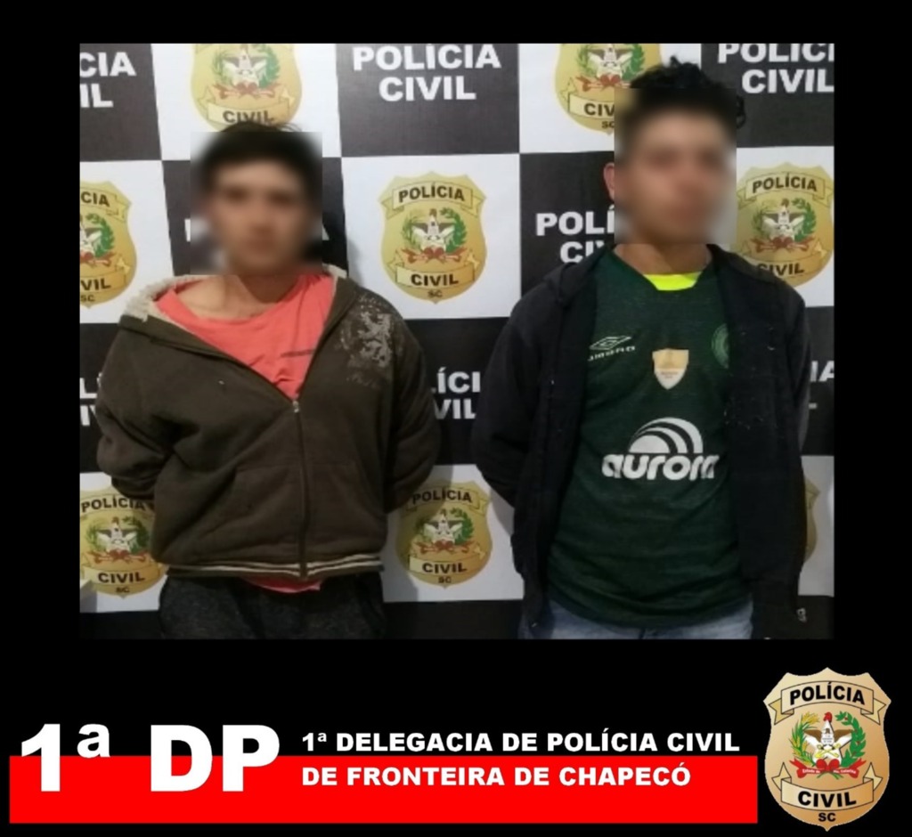 Divulgação - 