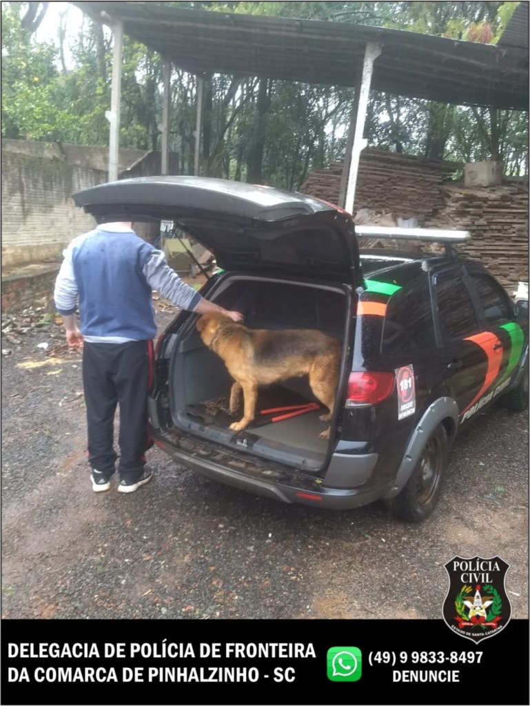 Polícia Civil - 