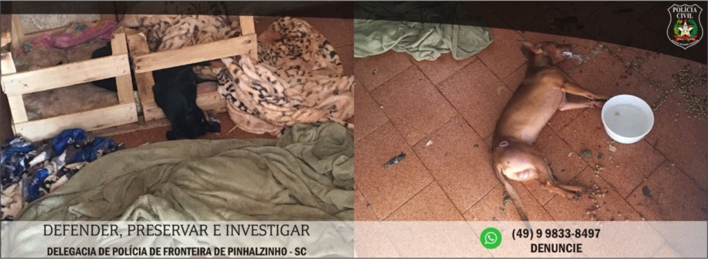 Divulgação Polícia Civil - 