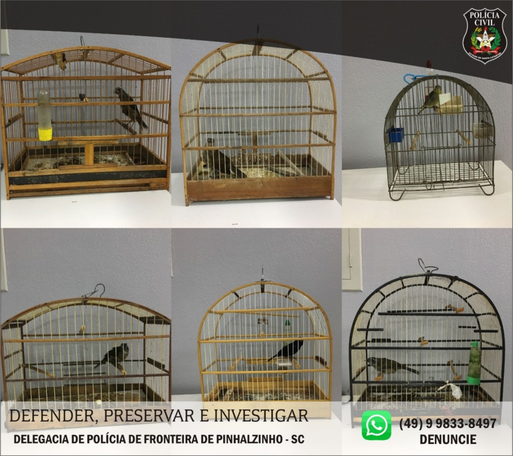 Polícia Civil - 