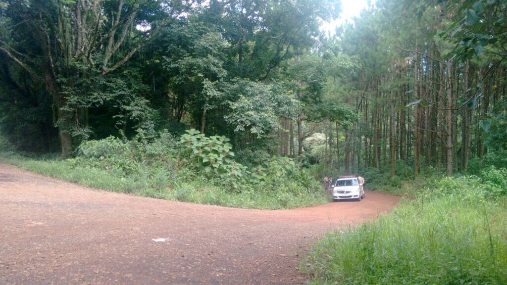 Pastora desaparecida em 19 de dezembro é encontrada sem vida